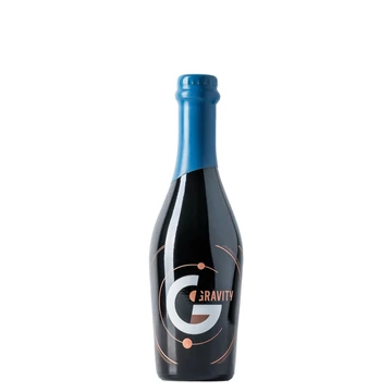 Gravity Brewing - Collision Course 2025 (375mL)